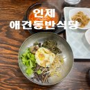 동갈보대 이미지