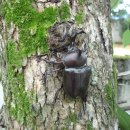 (주)위박건축 이미지