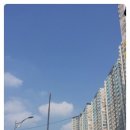 나래조경 네이버블로그
