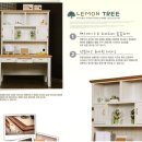 레몬트리 이미지