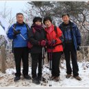 화순초등학교 이미지