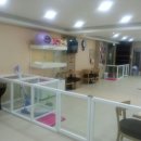 신정애견 이미지