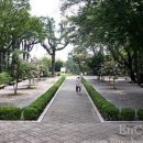 산호동247 이미지