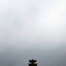 미륵사지 이미지