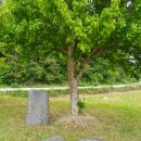 장연목장 이미지