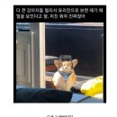 내 취향 여시 재캡쳐 36 이미지