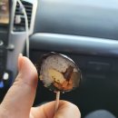 김밥전문공간 얌얌 이미지