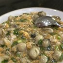 치앙마이 한 달 살기 14,15일차 기록[찌야통행, 슈가앤에그 , 농부악핫 공원 요가, 반캉왓, cafe...