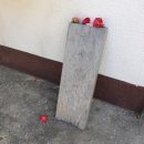 정자나무민박 | 제주 여행 :: 수네민박