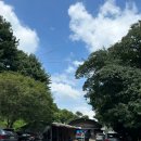 명덕잣나무집 이미지