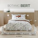 버트 BERT 이미지