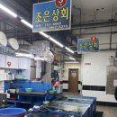 조은상회 | 부산 광안리 회센터 가성비 추천 조은상회 광어 포장후기