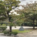 건아렌터카 | 0107 - 식민제국 일본 여행기 2일차 - 오키나와 나하