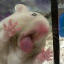 먹다