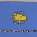비발디투어