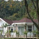 비피펜션 이미지