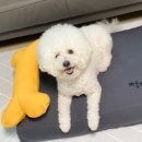 따숩개하우스 이미지