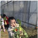 도담아이어린이집 이미지