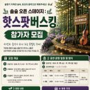 솔숲 티스토리