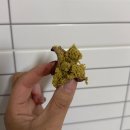 핸더빈