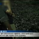 일본방사성폐기물 수입해서 시멘트 만드는 한국... 이미지