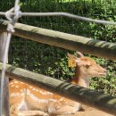 센트럴파크(보트하우스 2) 이미지