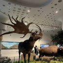 전곡 선사박물관 이미지