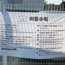 눈이부시개 이미지