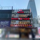 개미집 | 부산 개미집 낙곱새 후기｜부산 여행가면 무조건 먹어야 하는 맛집 내돈내산 솔직후기
