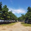 914 해변 캠핑장 이미지