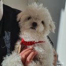 개미용실 이미지