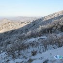 삼척 너와마을 네이버블로그