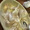 진달래양꼬치 - 성남시 분당구 내정로11번길 5 | 인하대 엘리웨이 양꼬치 진달래 무한리필 내돈내산후기 장단점