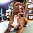 소영이네 이미지