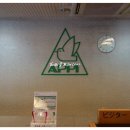 지투여행사