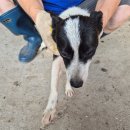 대산면 금강마을 이미지