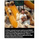 동물을사랑하는사람들 이미지