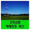 엠엠에프