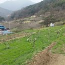 가실농장 이미지