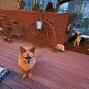 고투몰 | 서울쇼핑 가볼만한곳 제일 싼 옷 고르기 - 고투몰 쇼핑후기