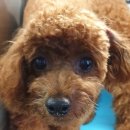 한라메디칼 이미지