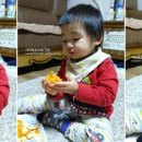 탐라 오렌지