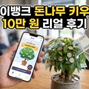 (주)스토리뱅크마케팅 | 🌳 "케이뱅크 돈나무 키우기 10만 원 리얼 후기"