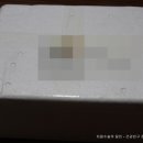 파티마외과 네이버블로그