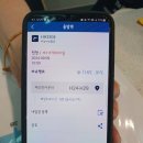 크놋 | 카놋샤크 이용후기