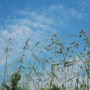 (주)교컴 이미지