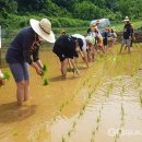 청성초등학교 이미지