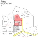 중앙동199 이미지