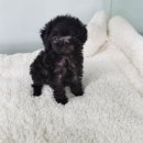 렛츠개릿 이미지