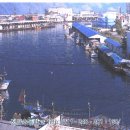 정라초등학교 이미지